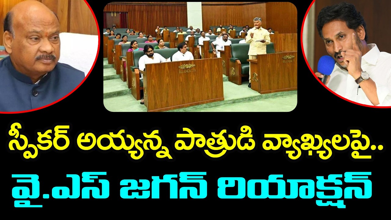 YS Jagan React On Speaker Ayyanna Patrudu Comments : PDTV News