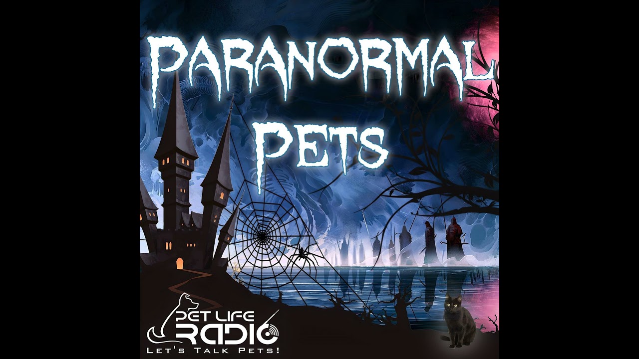 Paranormal Pets - Episode 137 January Potpourri: Three Knocks and a Warning: When the Dead Speak ...