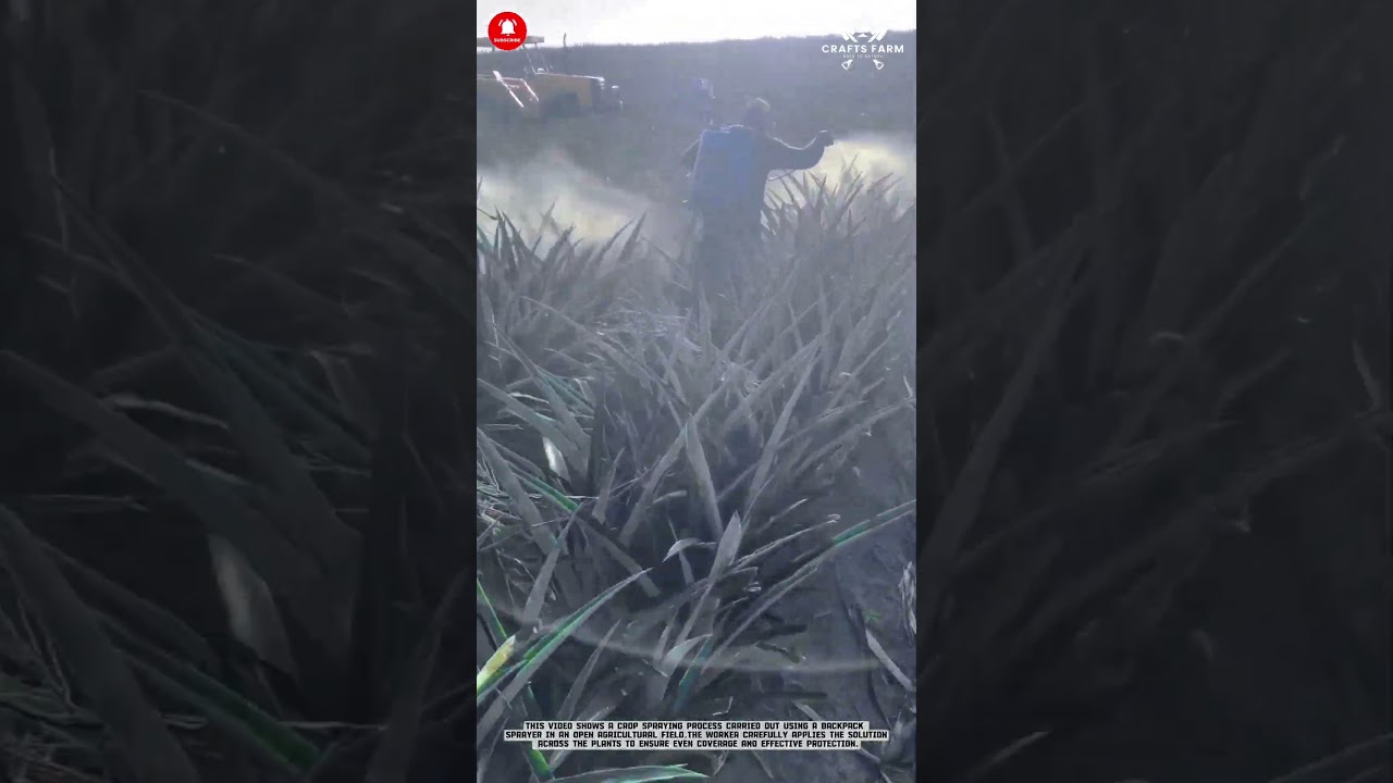 Crop Spraying: Backpack Sprayer Application for Even Coverage