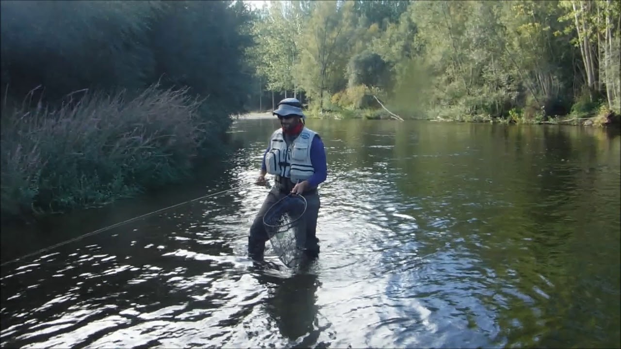Jornada, R&iacute;o &Oacute;rbigo. Septiembre/16 - Cul de Canard Fly Fishing Blog