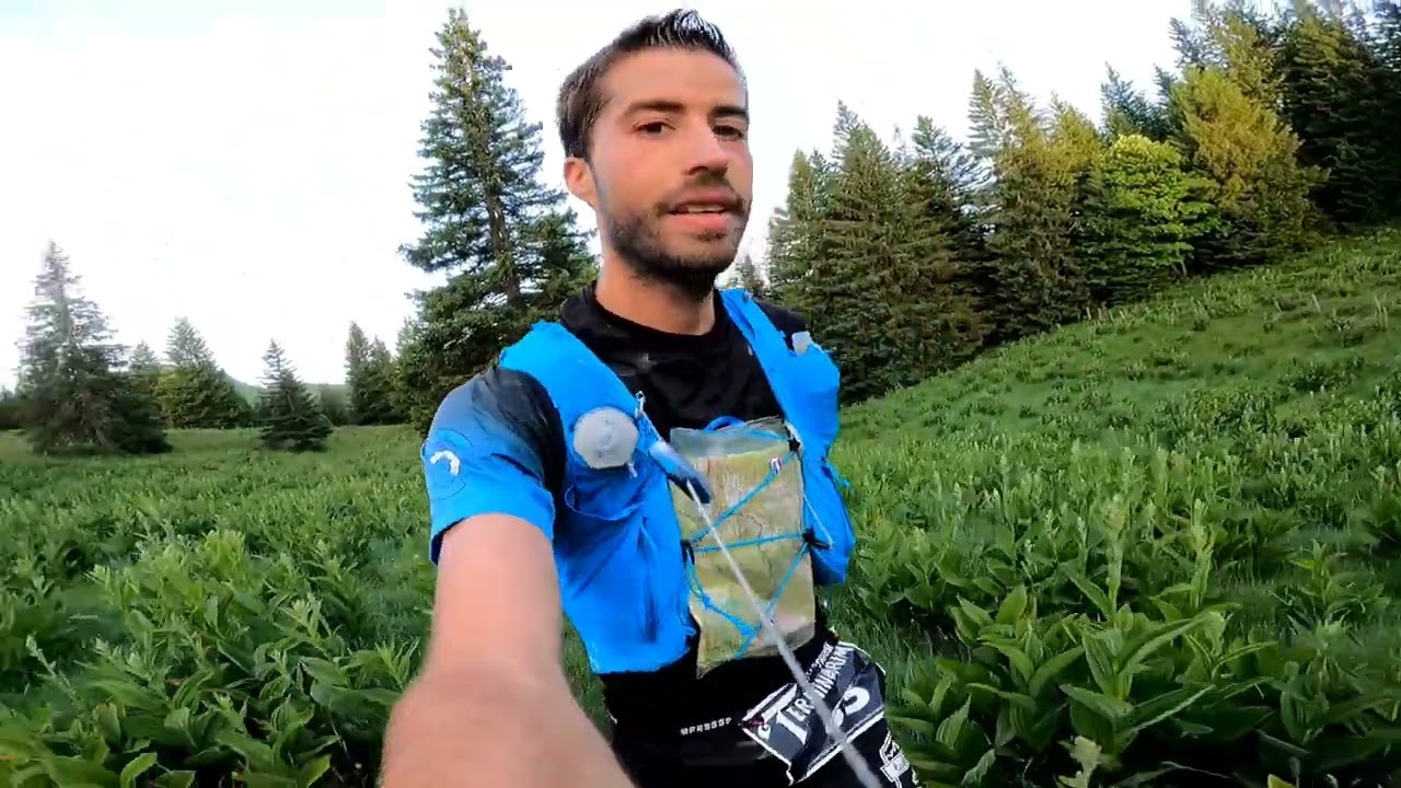 Terminorum Chartreuse 2022