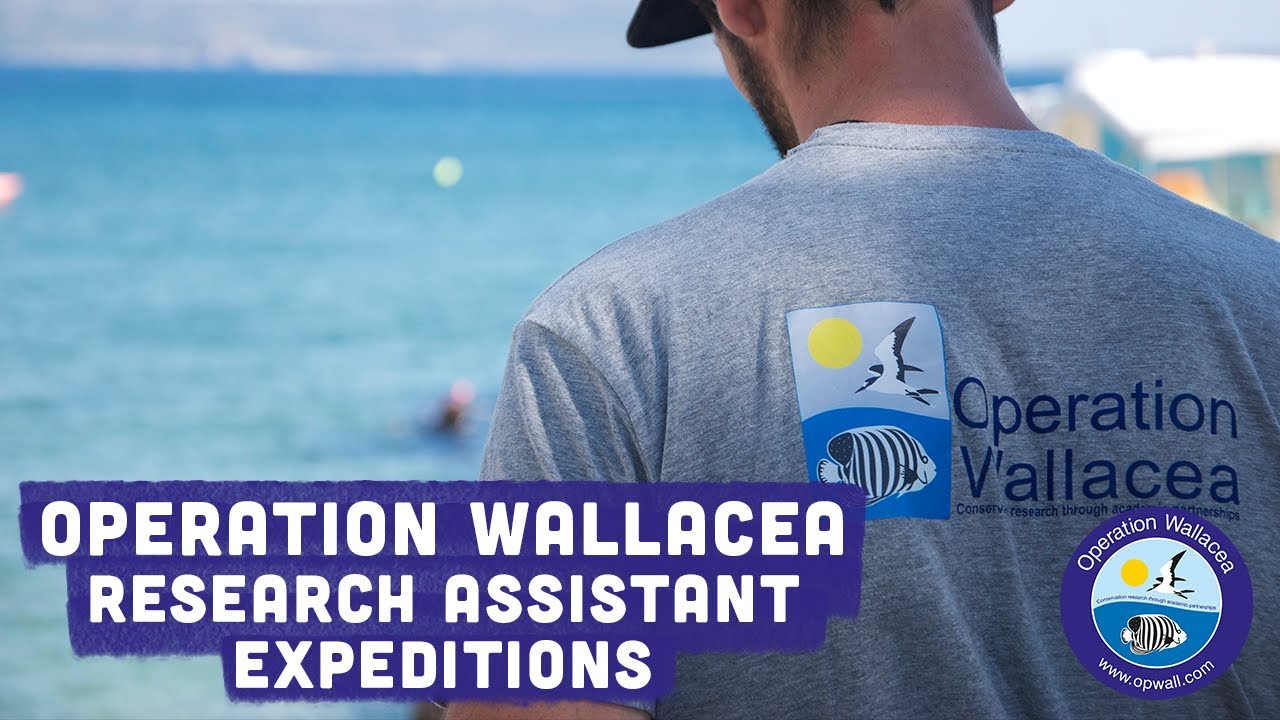 Operation Wallacea
