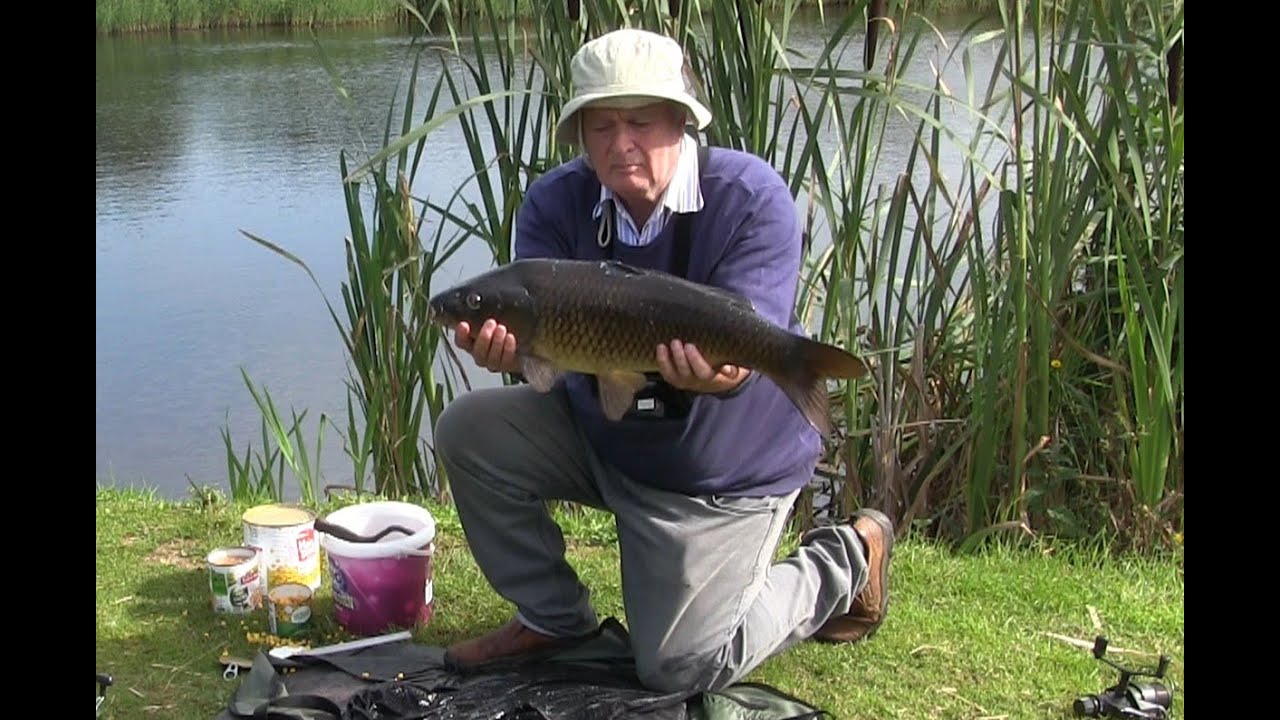 Carp and dog biscuits