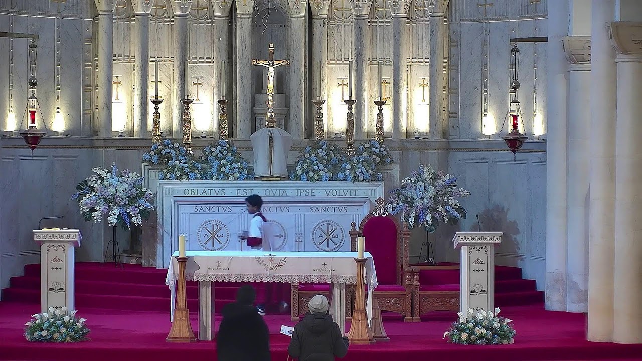 Sat 7 Feb: Mass & Novena Our Lady