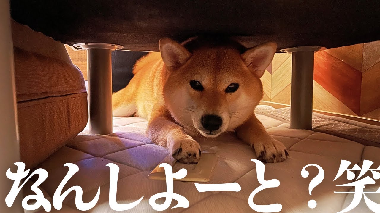 意外な所やられました😅