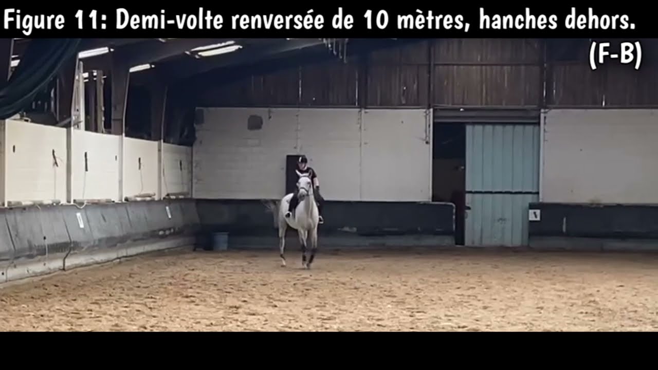 Reprise de dressage (Galop 4)