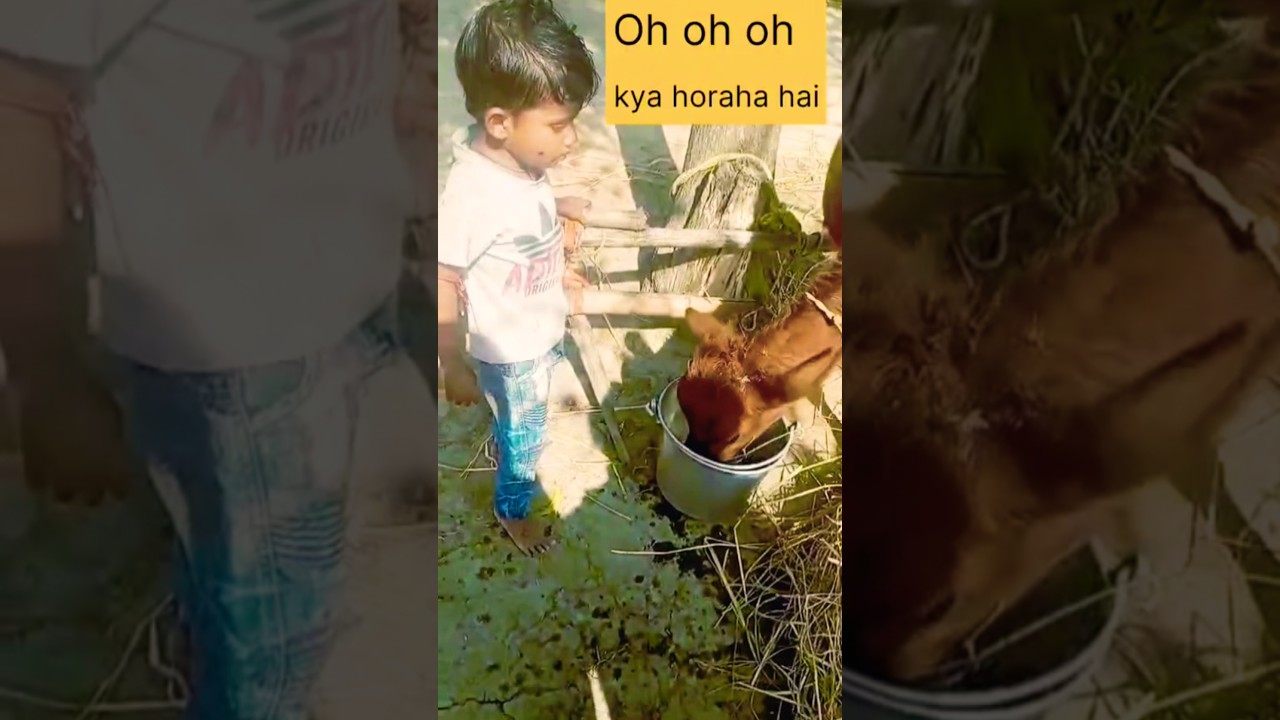 Baby gay ko pani pilate hue 