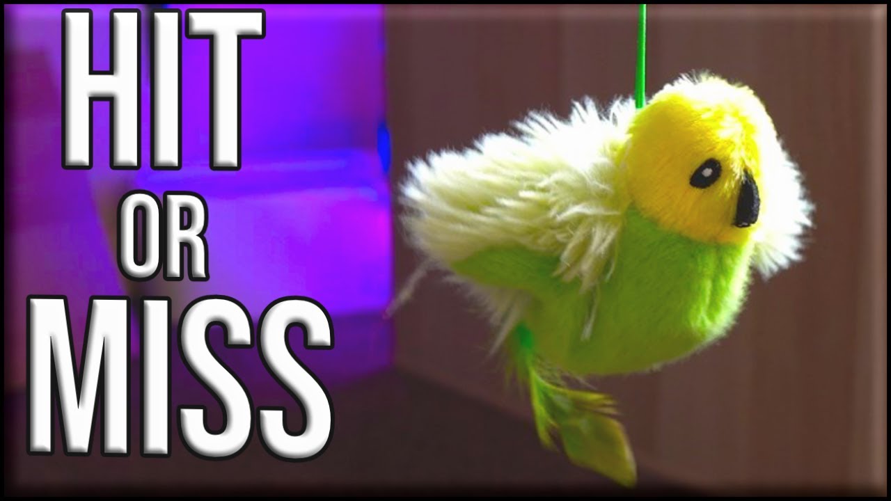 Will Your Cat Like This? Migipaws Flappy Bird Cat Toy