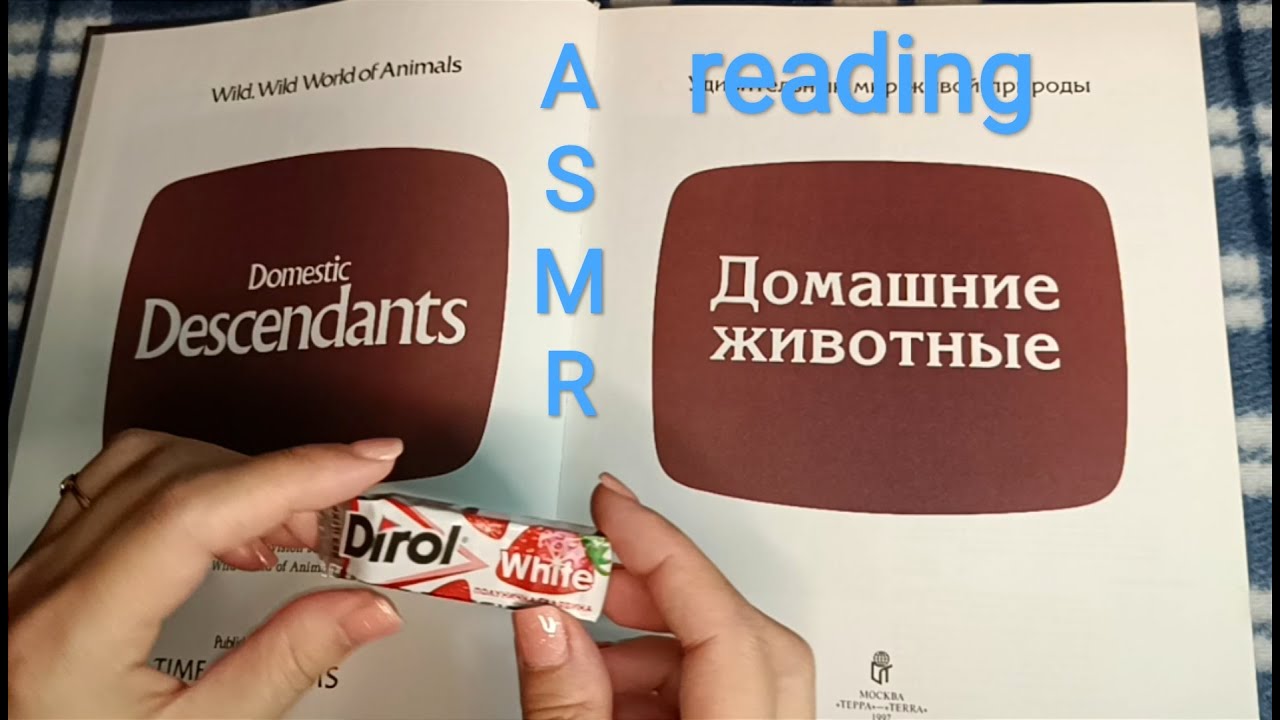 ASMR reading / АСМР чтение / жвачка / шёпот / chewingsounds/ chewingum / whisper