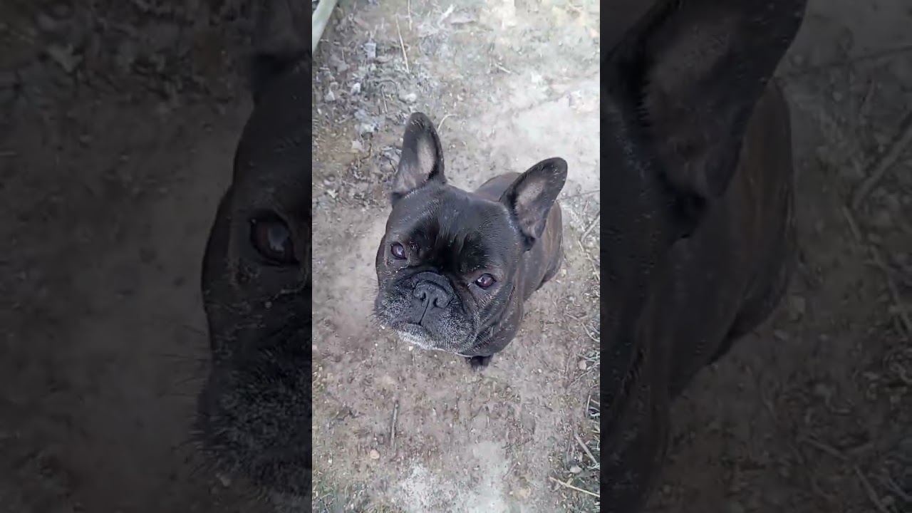 Хотіла ,як завжди ,на 3 хв.- але мене понесло ,тому такий формат ,,😍😁😁😁