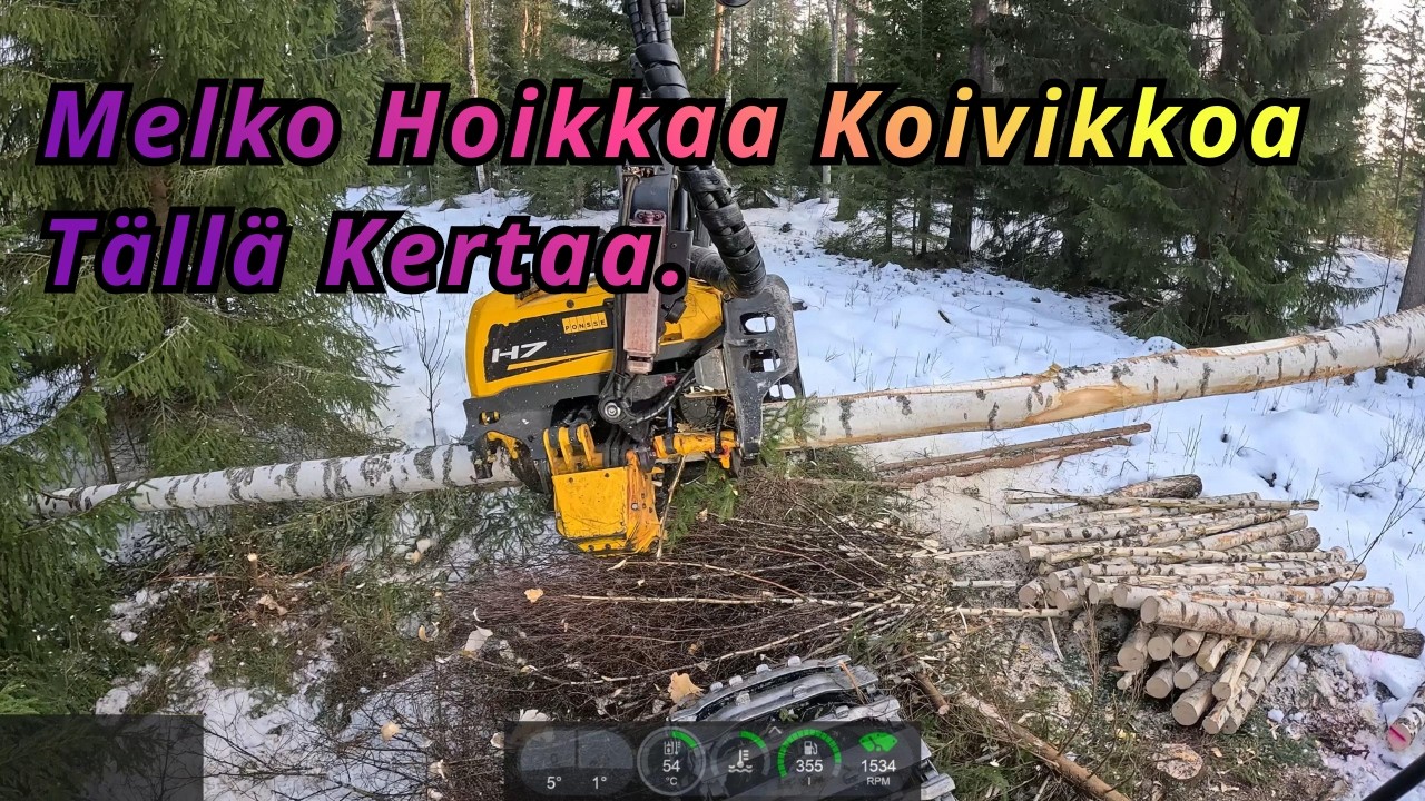 Pieni Puista Koivikon Uudistushakkuuta Sähkölinjan Laidalla Tekemässä. Ponsse Scorpion K AC New H7