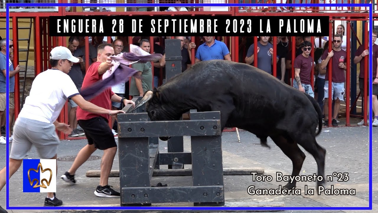 Enguera 28 ▪ 09 ▪ 23 Ganadería la Paloma