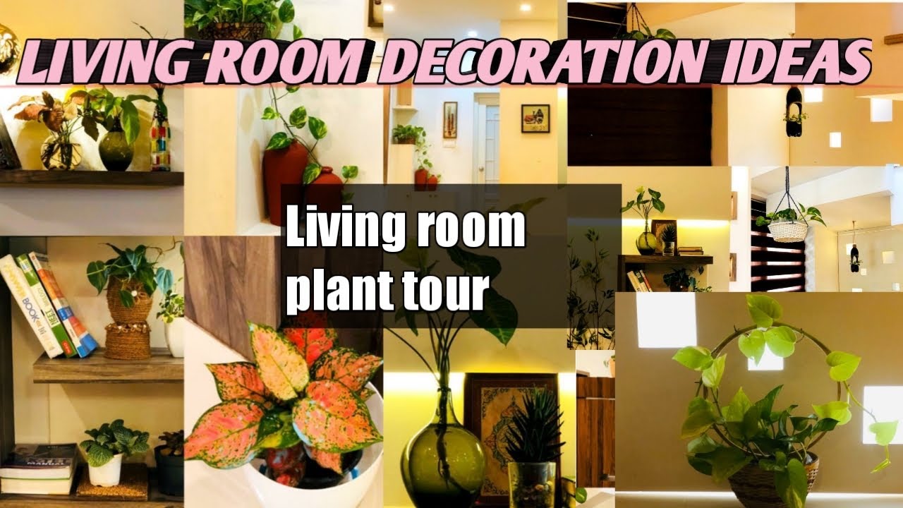 Living room decoration ideas/Living room Plant tour