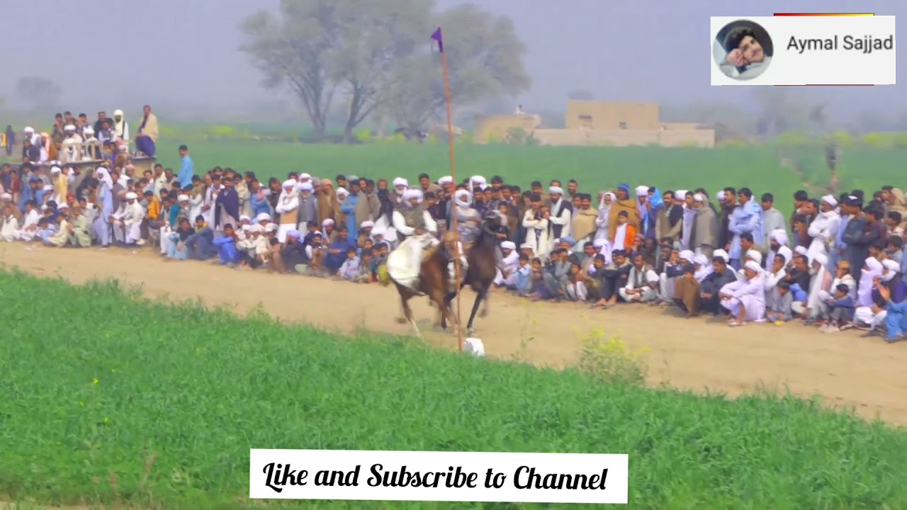 DIL Murad vs Commando vs king. Dil murad won. Owner Saqlain khan khitran.. Mela Makwal Kalan 2020