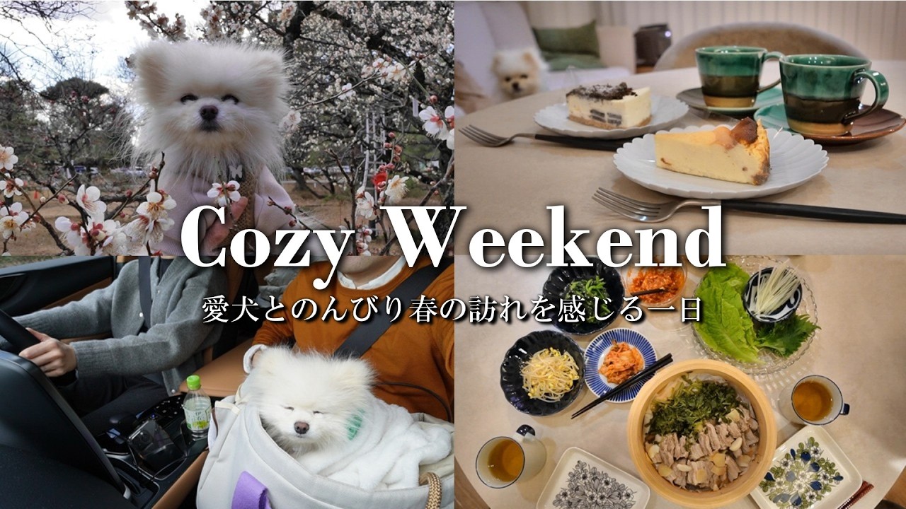 休日Vlog｜愛犬と小金井公園さんぽ、おうちで早春を味わう一日