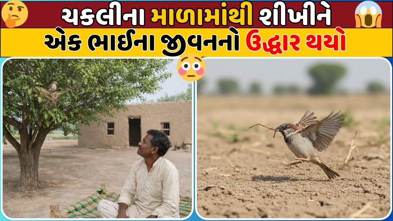 ચકલીના માળામાંથી શીખીને એક ભાઈના જીવનનો ઉદ્ધાર થયો | Mittal Patel |