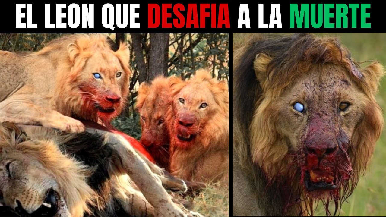 LEÓN – NÉMESIS: El Hijo Maldito de SCARFACE que Desafió su Destino y Reinó