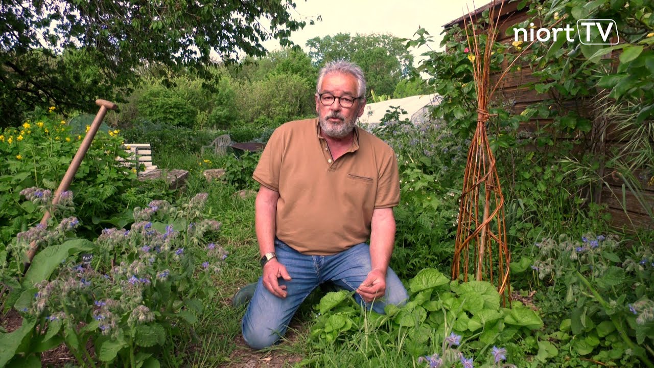 Jardiner au naturel #9 - Les engrais verts