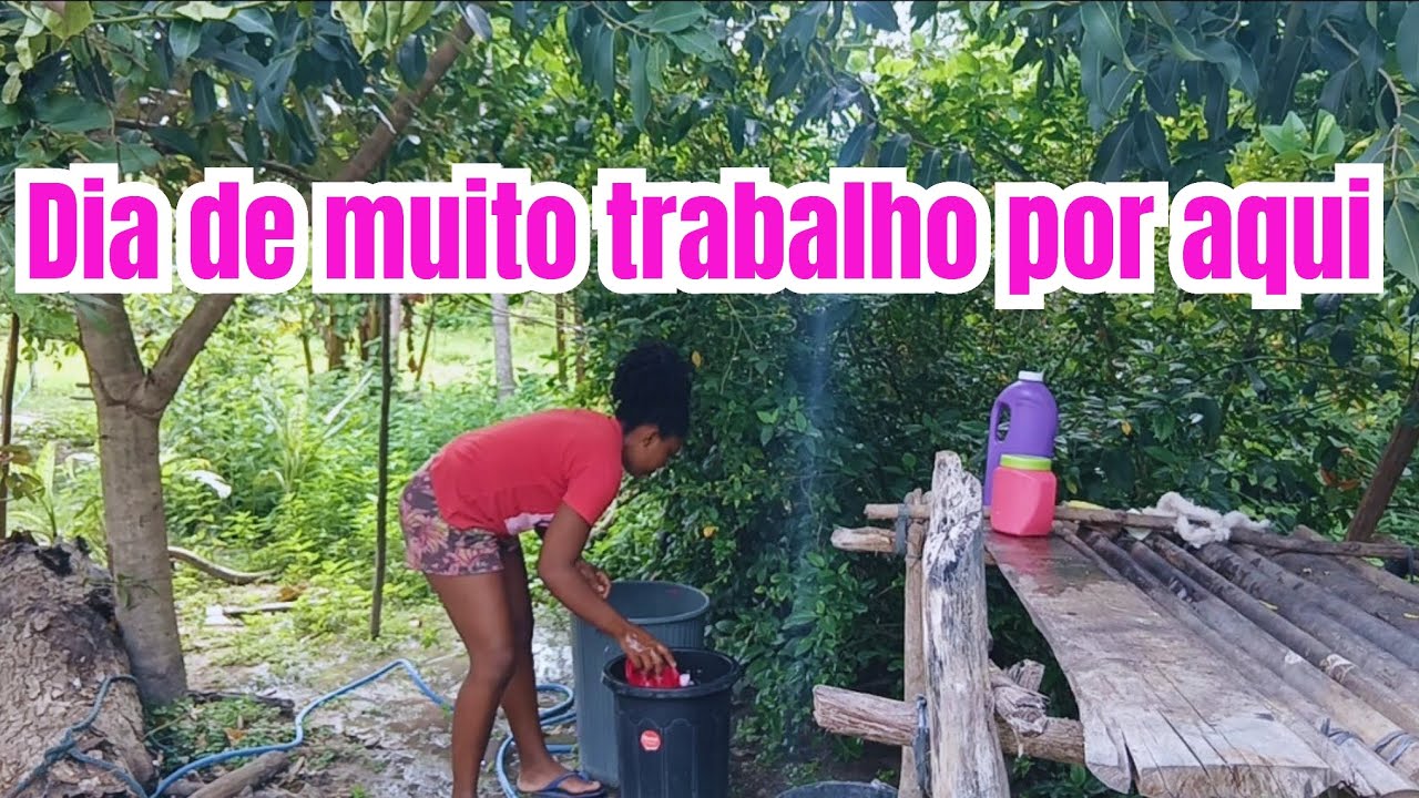 Dia de muito trabalho por aqui: Tentando dar conta de tudo