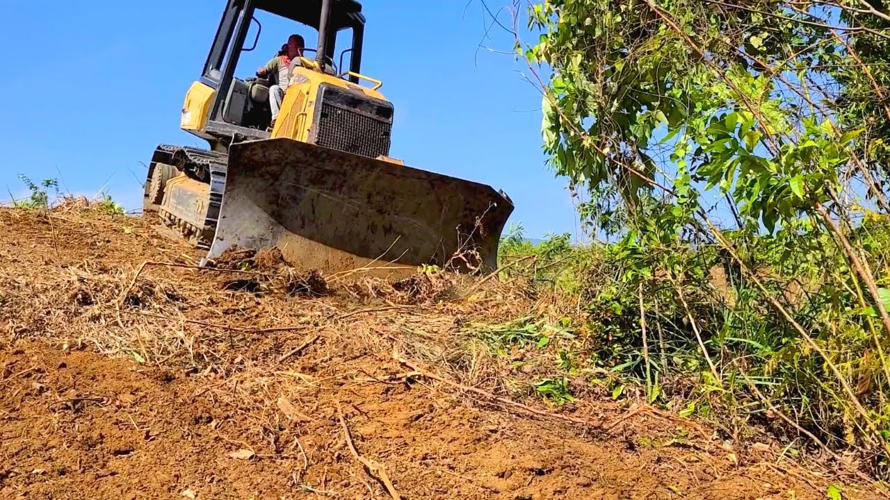The Perfect Small Caterpillar D5K Dozer Opening Forest To people's Plantations