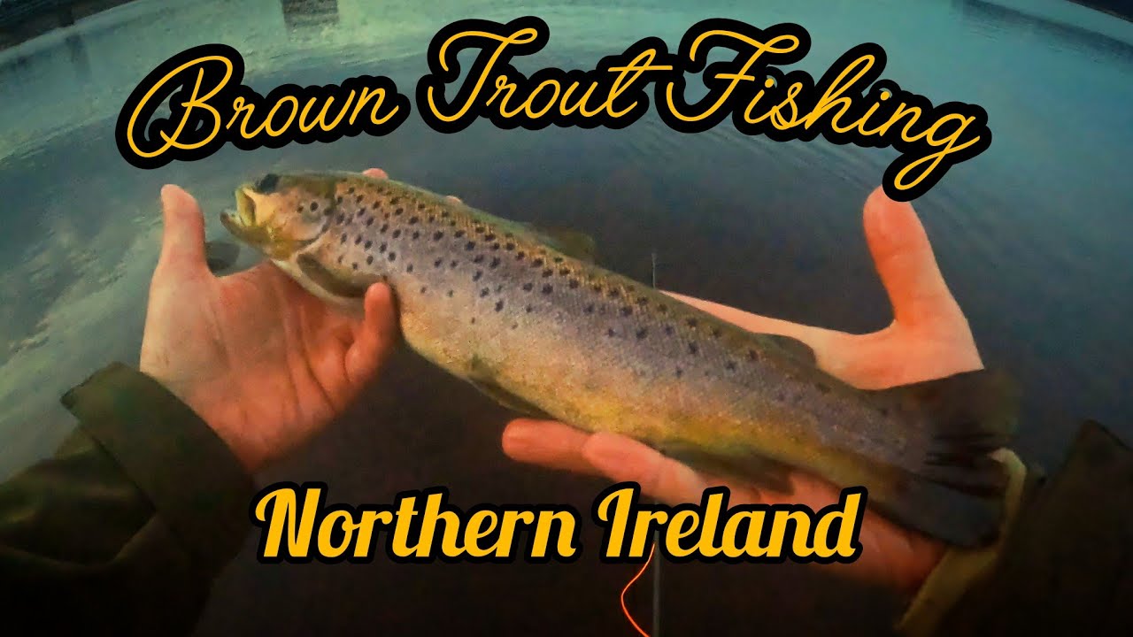 Fly Fishing for Brown Trout at Killylane Reservoir.