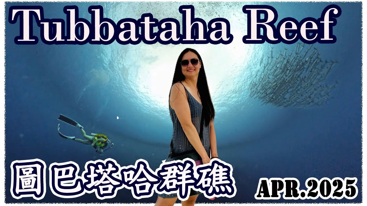 Epic 2025 Liveaboard Diving at Tubbataha Reef, Philippines, UNESCO Paradise Adventure, 菲律賓圖巴塔哈船宿潛水之旅