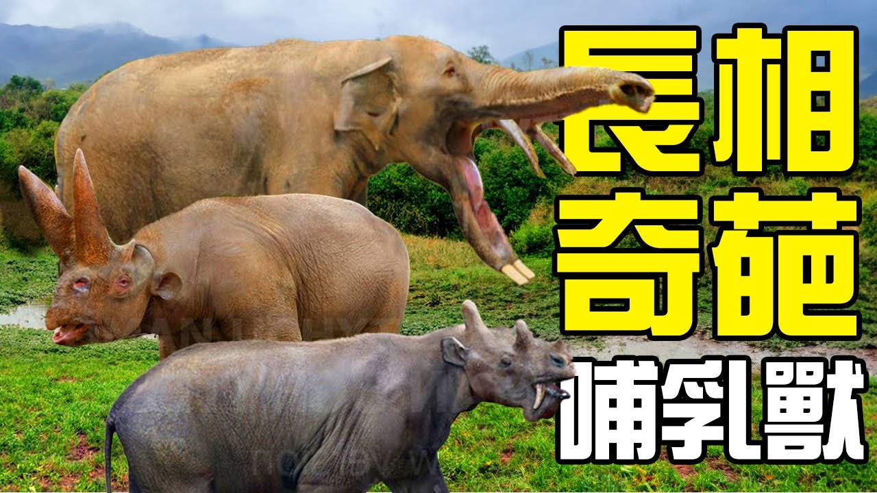 長得越怪，滅絕的越快？盤點地球上出現過的十大長相奇葩哺乳動物丨動物之最