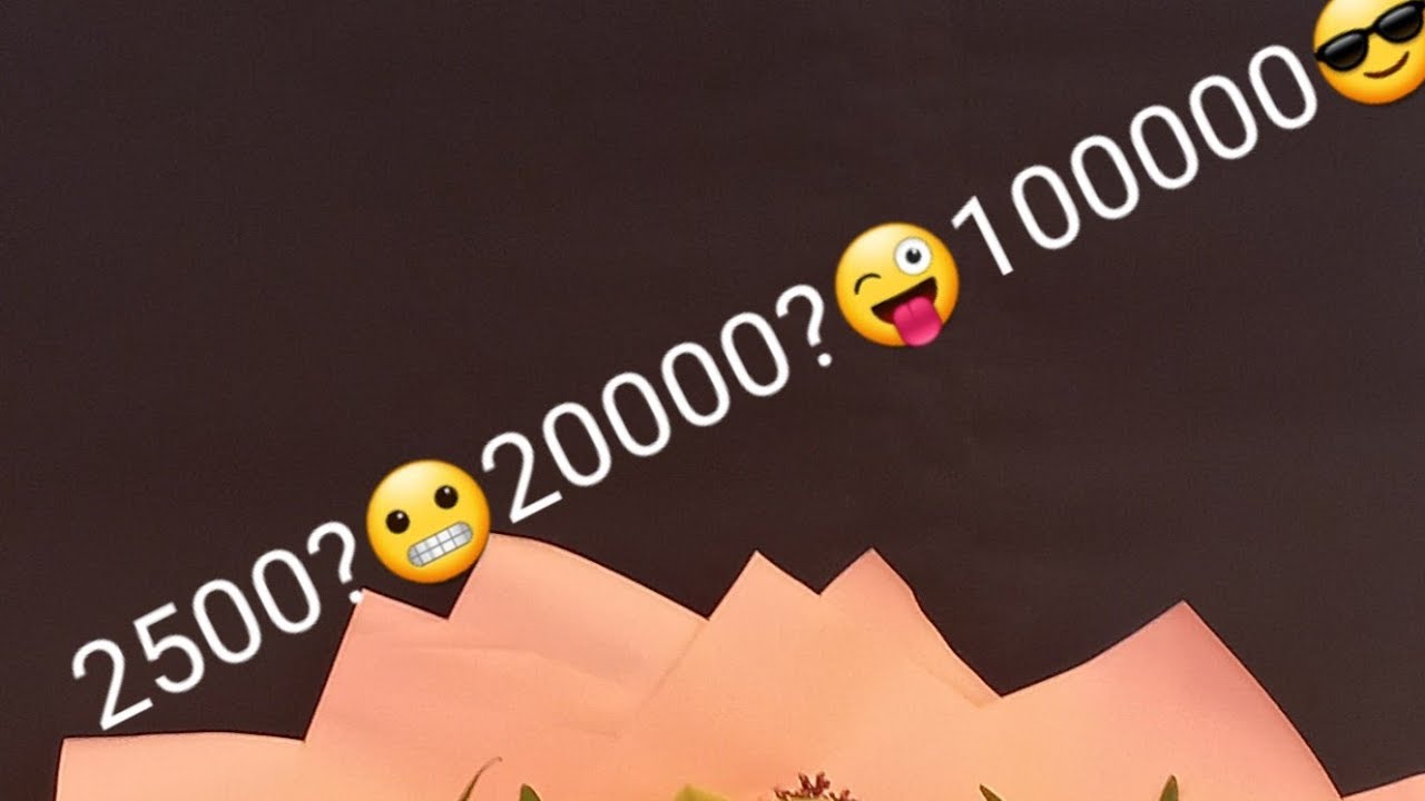 сколько получают флористы на праздники?🤷‍♂️