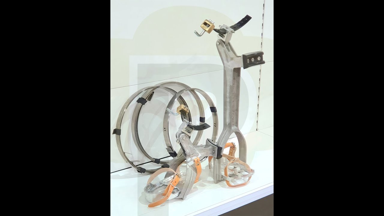 Bicicleta Poda Palmeras - PODAPRO - ÚLTIMO MODELO