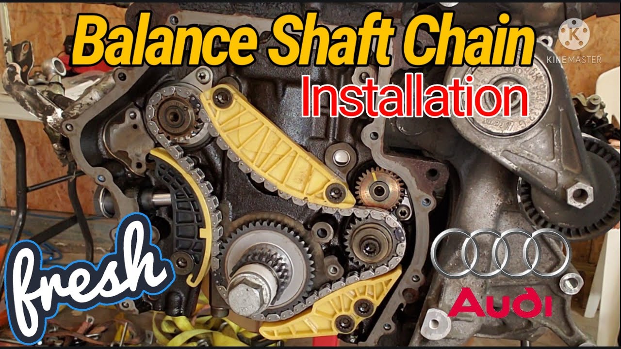 Set/Timing Install Balance timing chain, Audi 2008-15 Audi A4 a5 A6 Q5 TT 2.0T