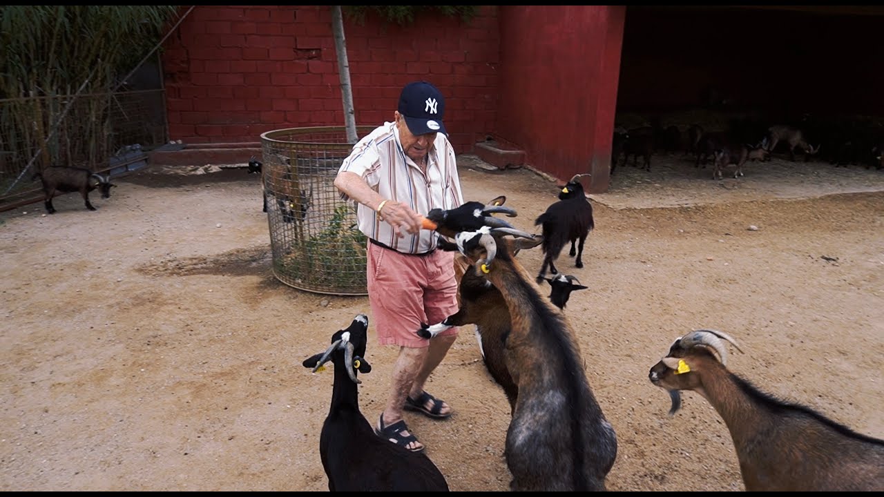 LLEVO A MIS ABUELOS DE SAFARI POR SORPRESA (PASAMOS MIEDO)