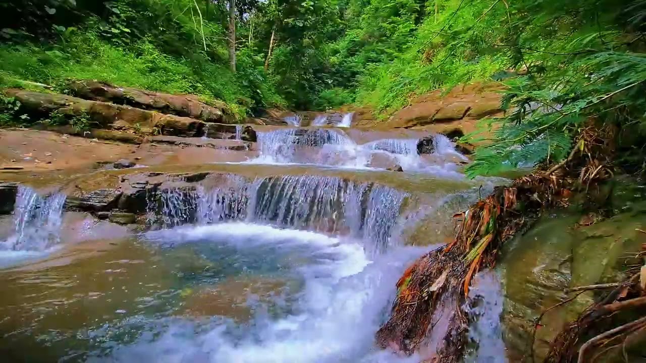 Sleep Sounds with Nature | Gentle River White Noise for Rest & Relaxation