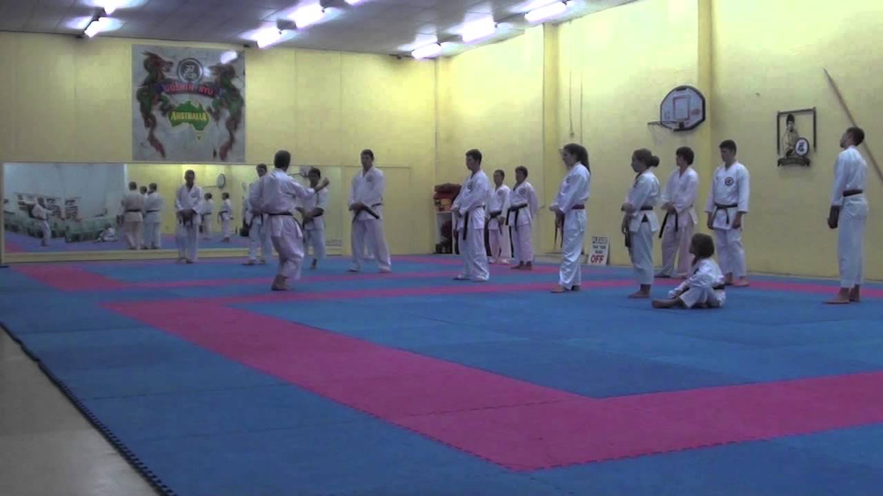 Sensei Luis Maria Sanz-Sydney1