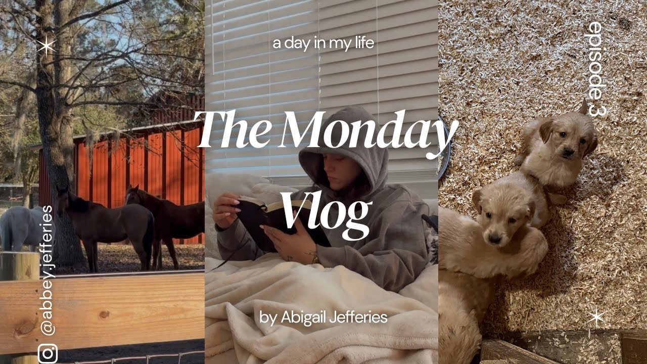 Ep. 3 | The Monday Vlog