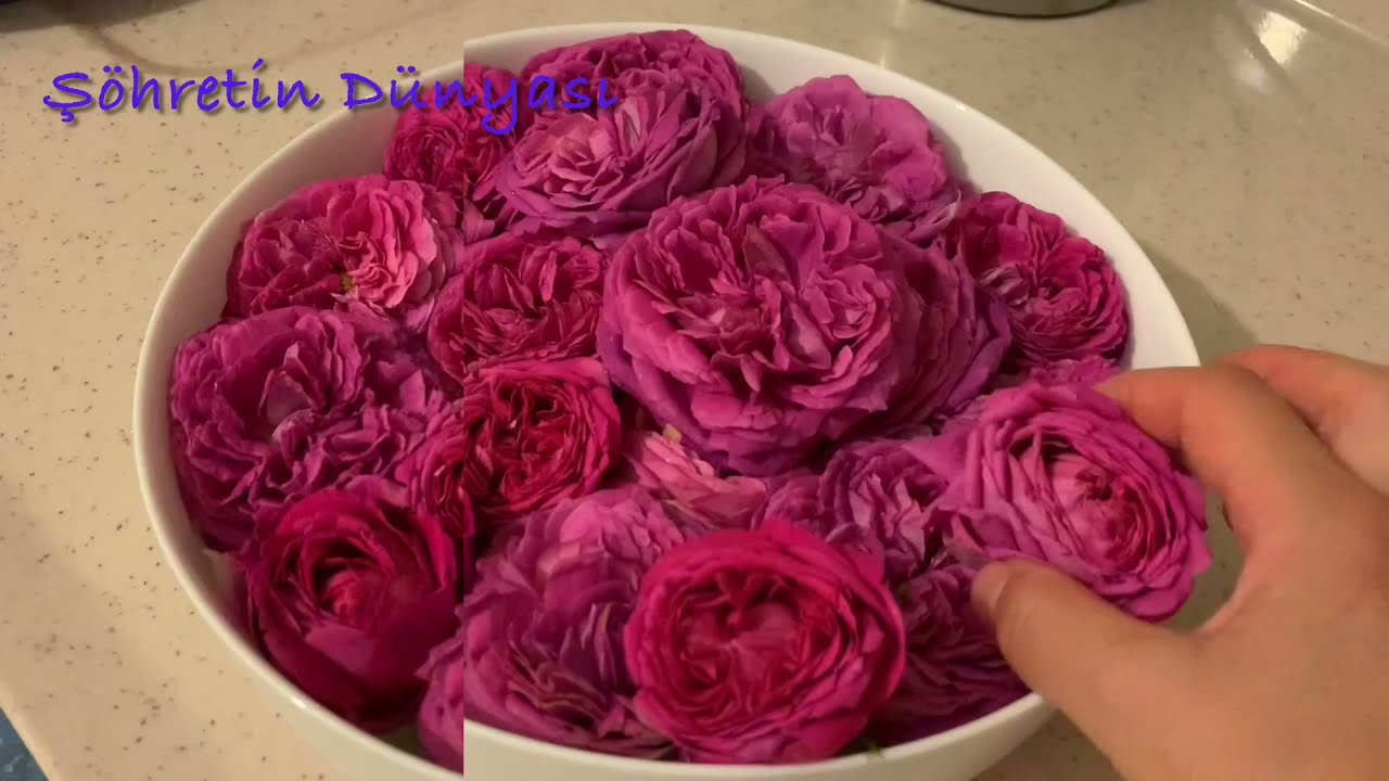 GÜL REÇELİ BUNU YAPMAZSAN OLMAZ❌ GÜL MAYASI NEDİR NASIL HAZIRLANIR✔️ #gülmayasıtarifi #rosejam