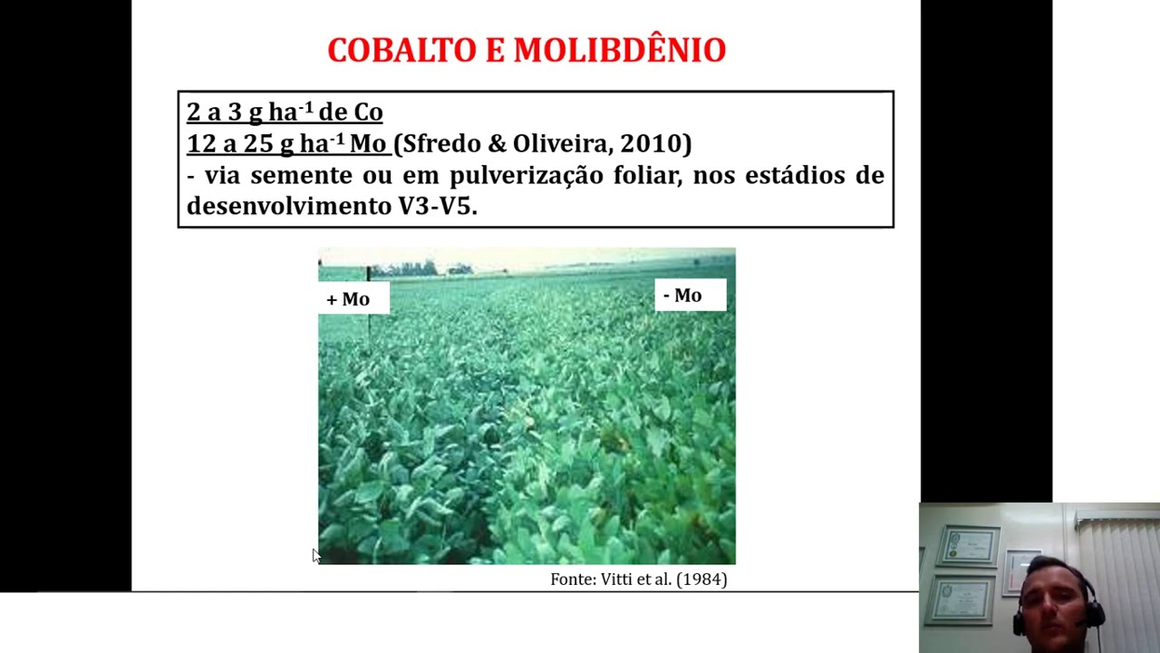 14 Nutricao e Adubacao de Soja (Parte 2)