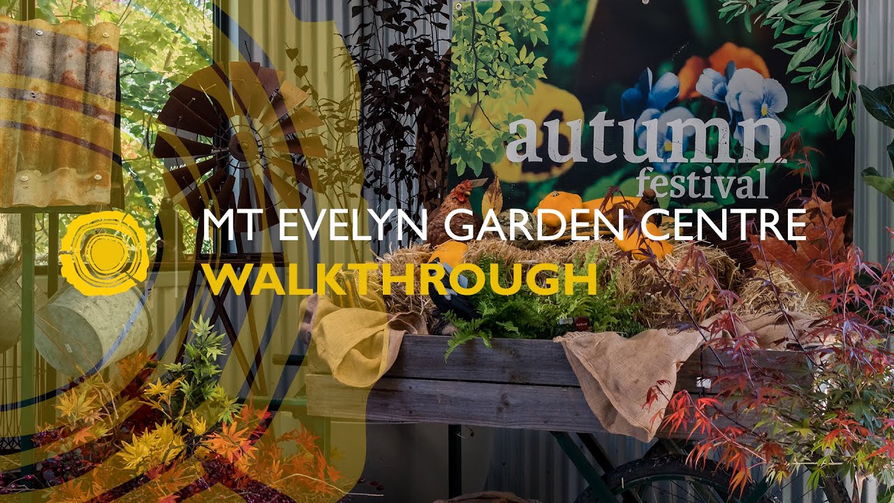 Mt Evelyn Garden Centre Walkthrough
