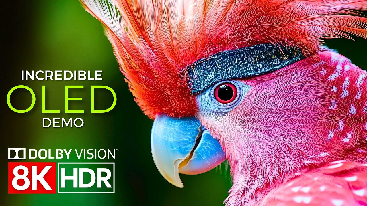 Visual Brilliance Unleashed &mdash; Dolby Vision in 8K HDR 60fps