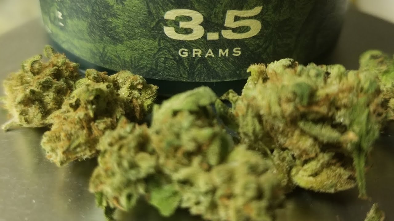 Strain of the Day - Ebony Ivory from Nature's Heritage.