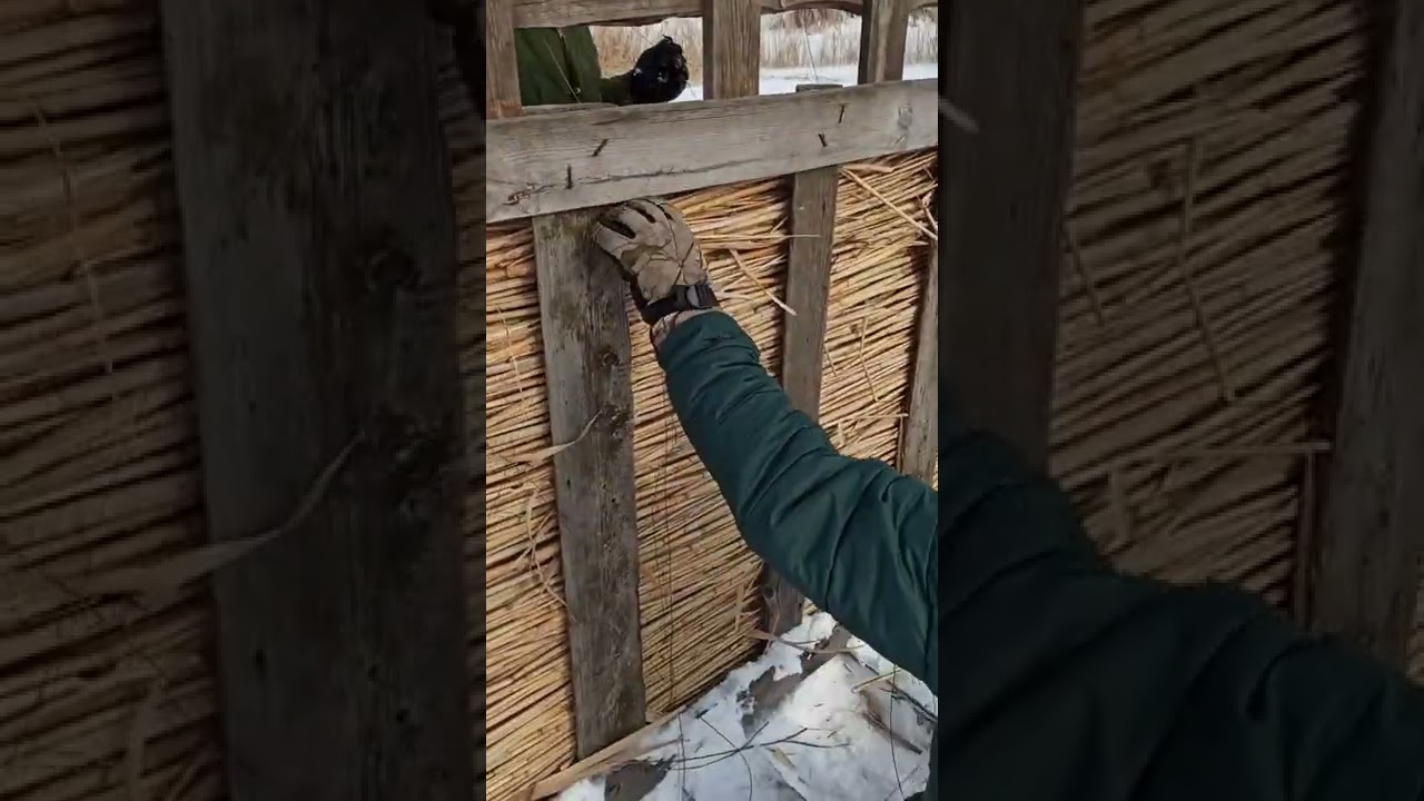 Как вязать камыш