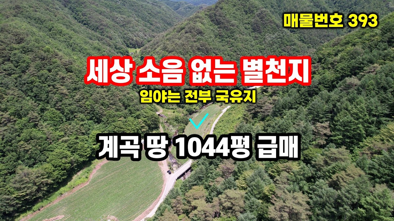 계곡물과 국유림에 둘러싸인 산골 오지 계곡땅~ 급매 farming 경북땅 시골땅 오지땅 급매물