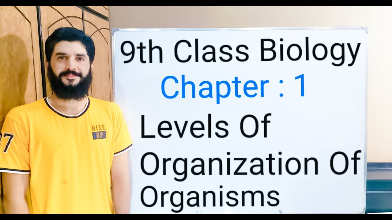The Levels of organisation of organism |  Levels of Organization | Levels of Biological Organization