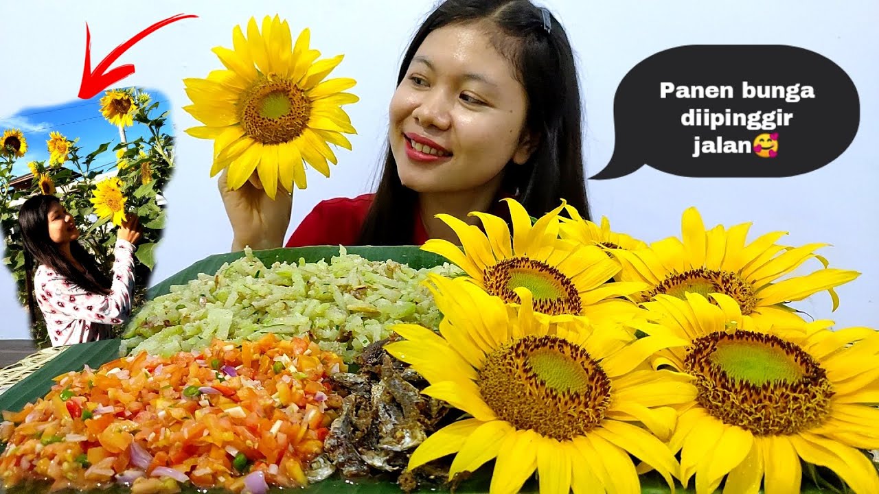 MUKBANG BUNGA MATAHARI