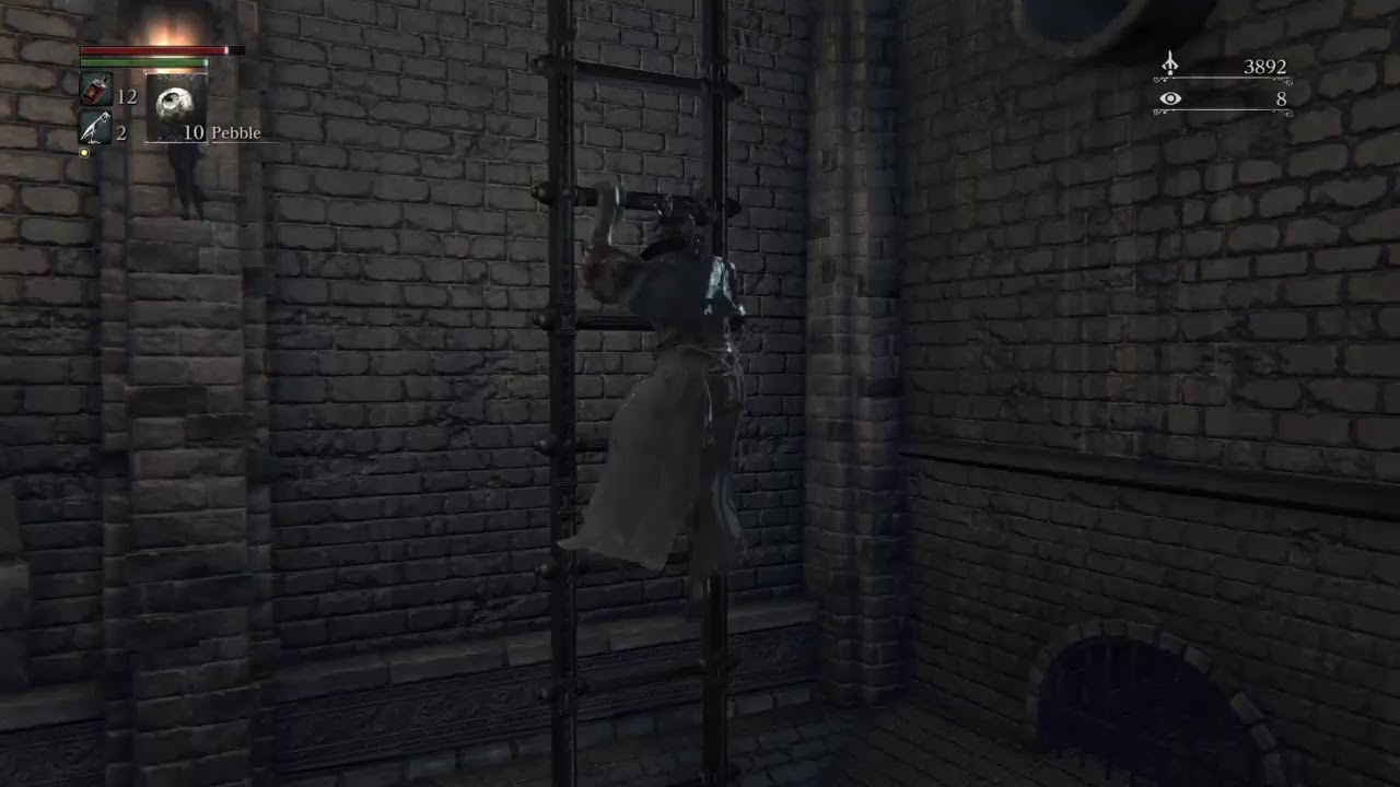 The hunt continues