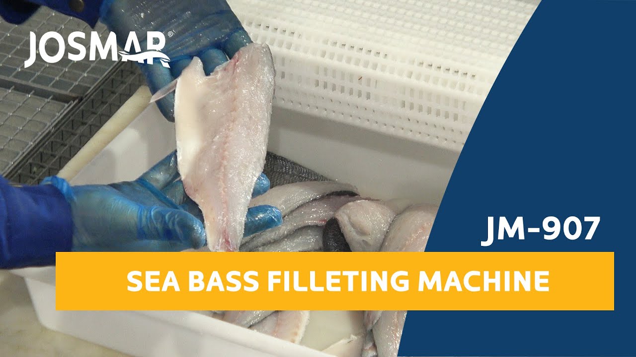JOSMAR: JM 907 Sea bass heading, gutting & Filleting Machine | Procesado de lubina