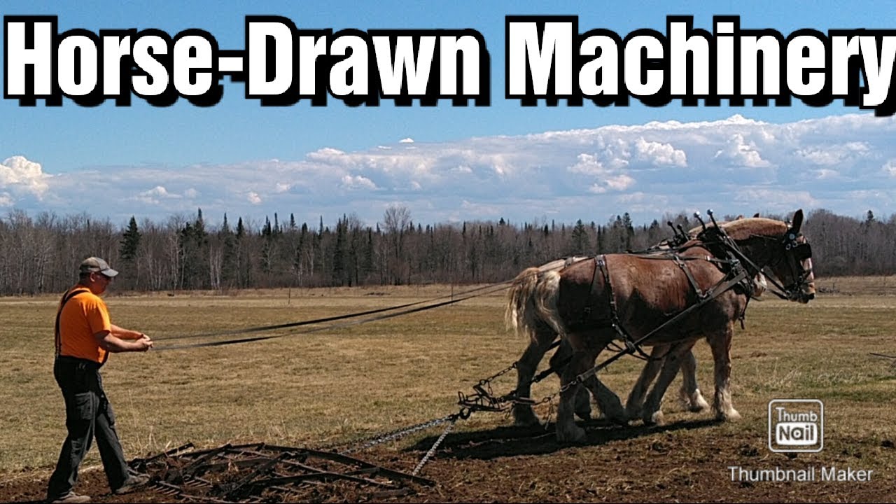 Using Horse-Drawn Machinery