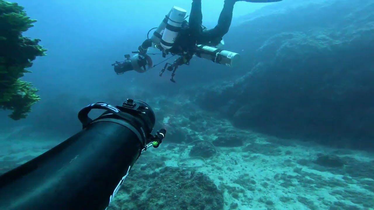 Vis Wreck Broni Deep 55 m 4K