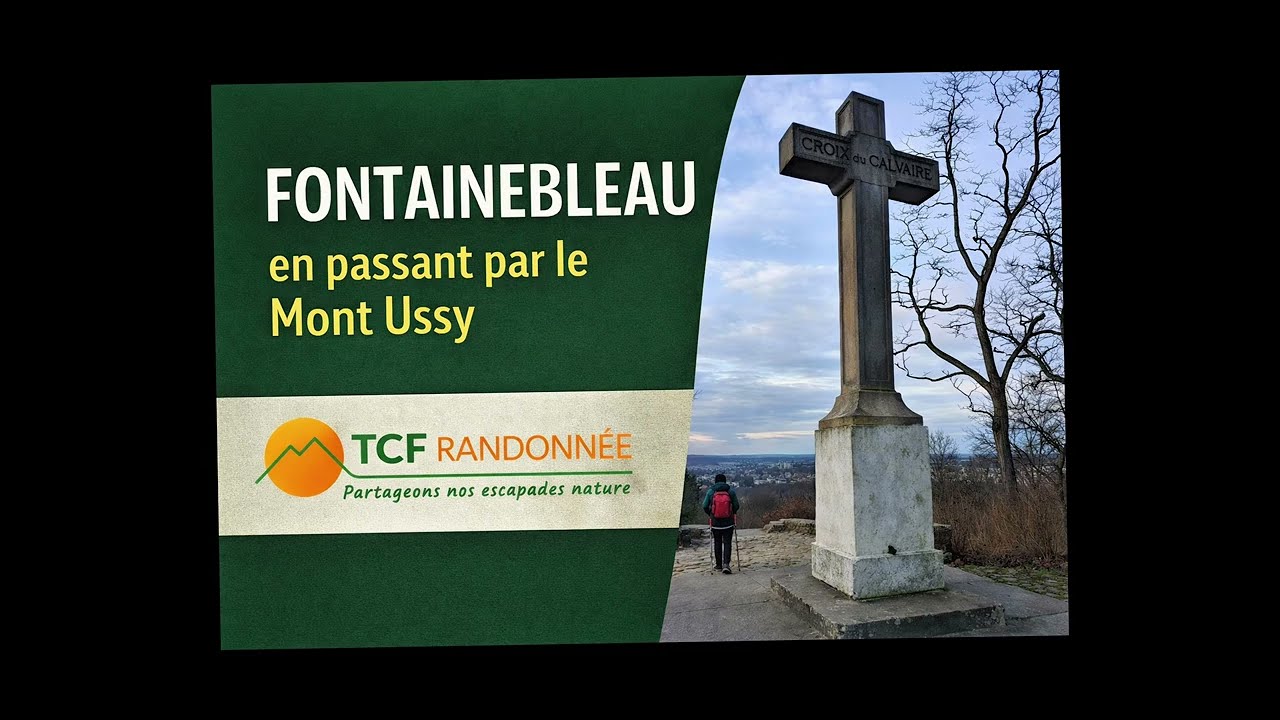 En passant par le Mont USSY @TCF RANDONNÉE #Fontainbleau#ForêtdeFontainbleau#randonnée
