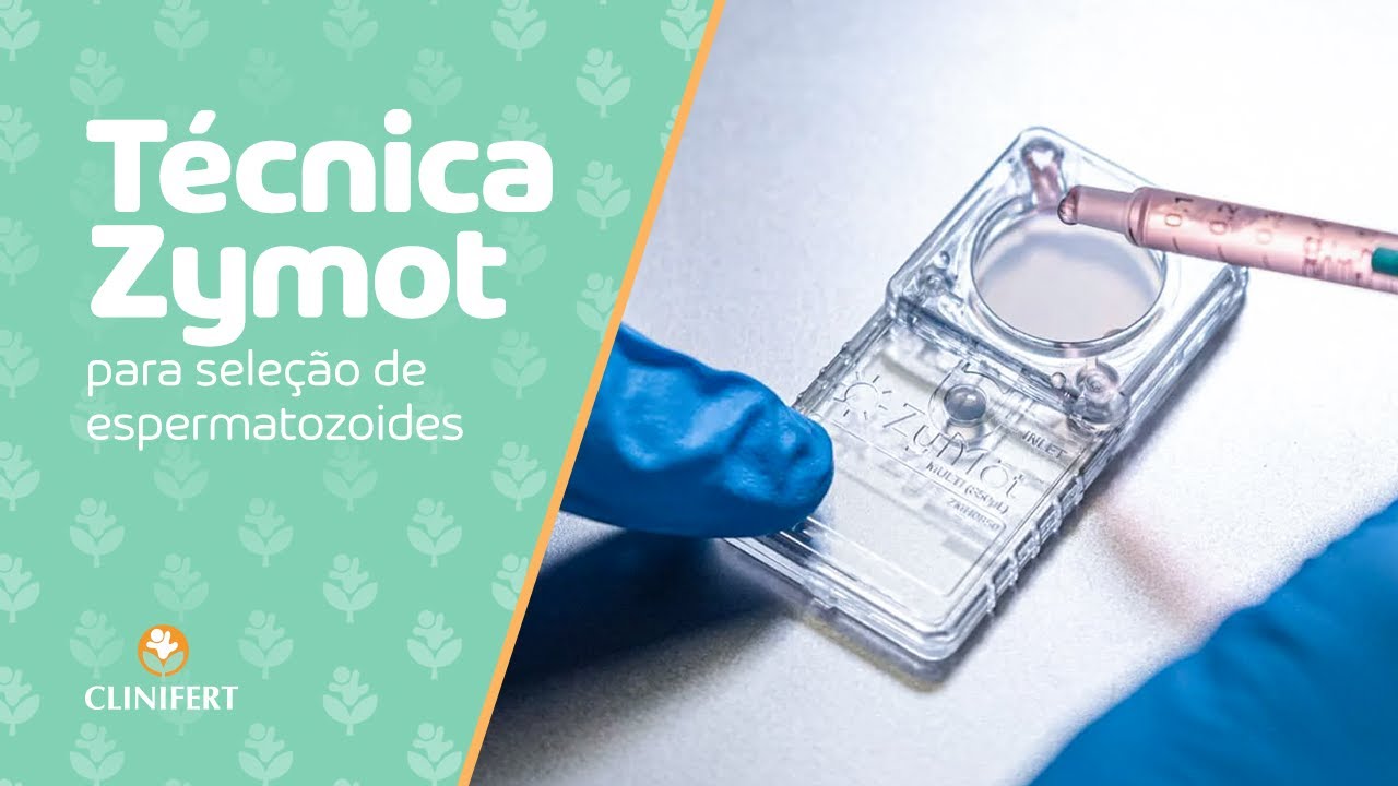Técnica Zymot para seleção de espermatozóides