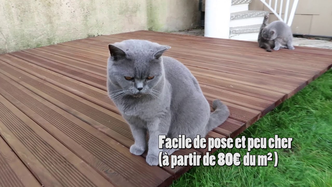 UNE TERRASSE EN BOIS FACILE, VITE ET SANS OUTILS : EASY CAILLEBOTIS